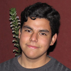 XXII Congreso Chileno Medicina Familiar